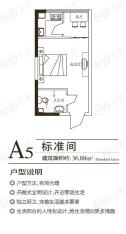 领峰A5标准间户型图