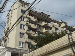 阳光绿园