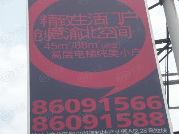 效果图