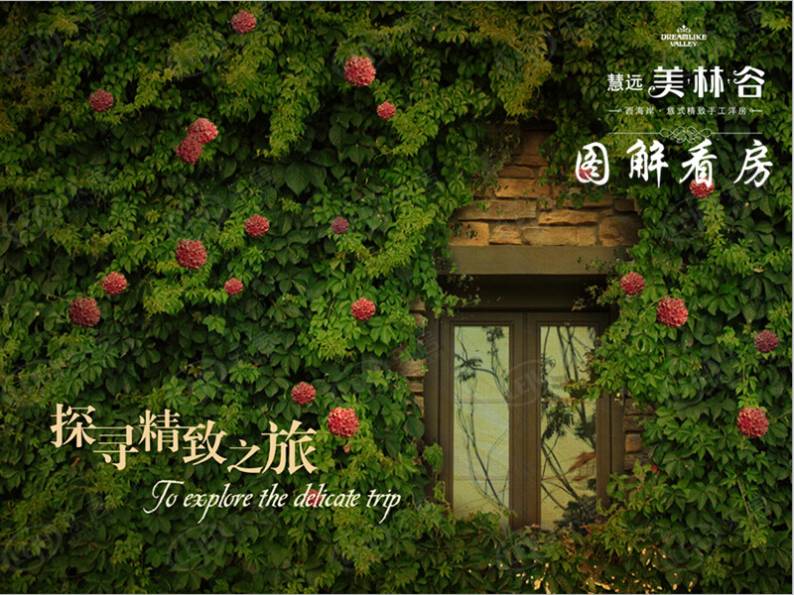 慧远美林谷 图解看房