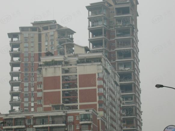 社区实景