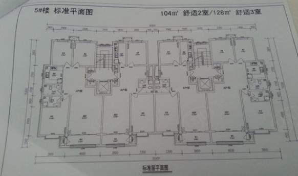 楼层平面图