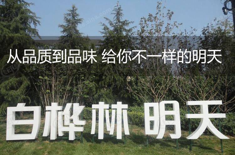 白桦林明天二期 图解看房