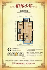 柏林小镇两室两厅一卫109.89平米户型图