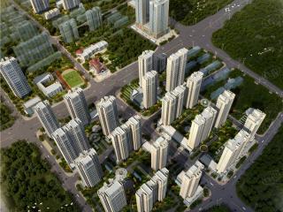 小米国际