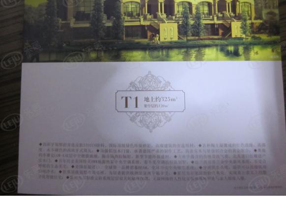 效果图