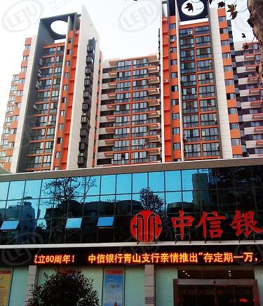 社区实景