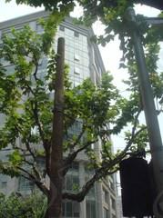 社区实景