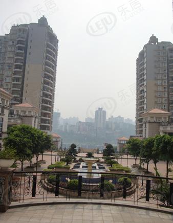 社区实景