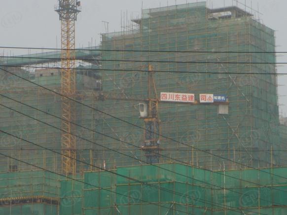 社区实景