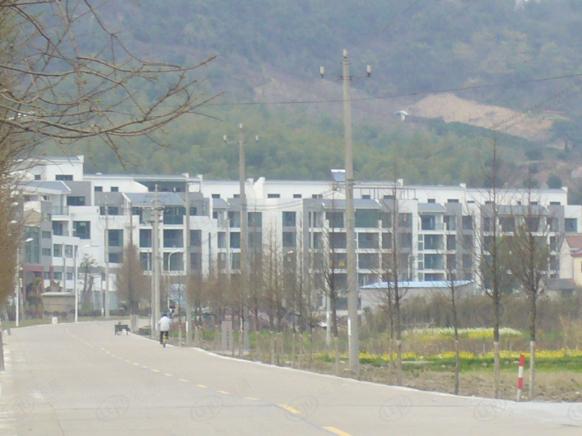 社区实景