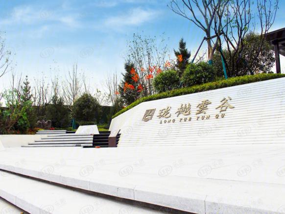 社区实景