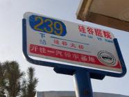 吉大菲尔瑞特