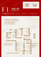 大观国际居住区二期F1户型完美三室户型图