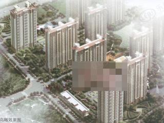 美域中央