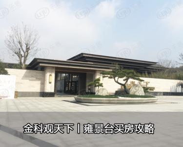 金科观天下