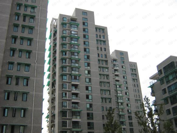 社区实景
