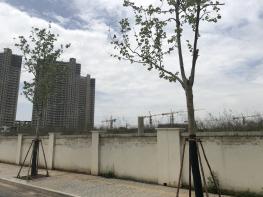 香港嘉华南站G89地块社区实景