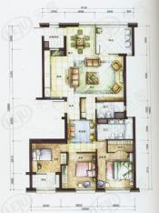 银马公寓房型: 三房;  面积段: 163 －174 平方米;
户型图