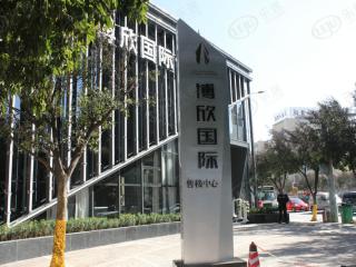 博欣国际