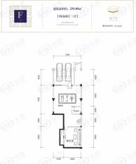 新世界梓山湖翠微F户型地下室户型图