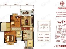 国华新都C2-01户型户型图