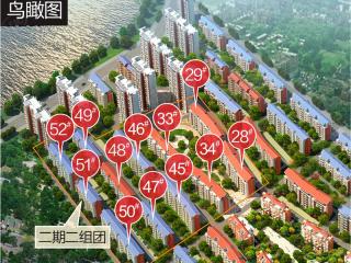 中央美地