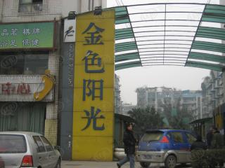 金色阳光