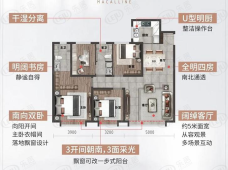 远洋红星天铂4室2厅2卫户型图