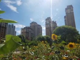 盛达国际新城社区实景