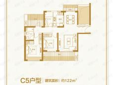 恩祥新城北大华府C5户型户型图