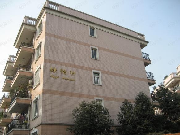 社区实景