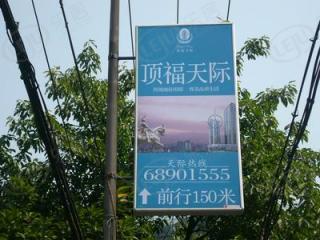 顶福天际