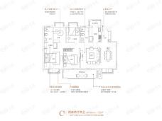 碧桂园中江·温泉城C 户型户型图