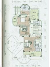 新湖·香格里拉房型: 单栋别墅;  面积段: 230 －340 平方米;户型图