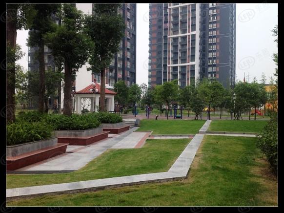 社区实景