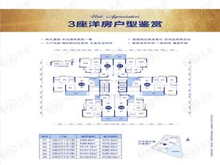 龙光·玖龙湾3座洋房01-06单元户型图