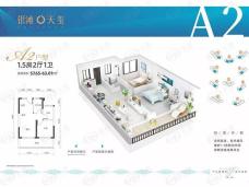银滩天玺A2户型户型图