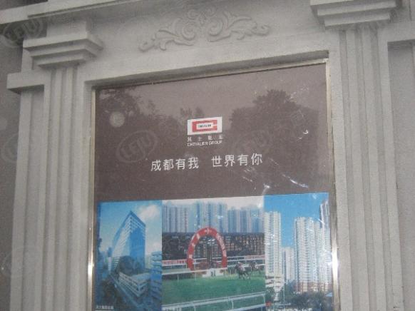 社区实景