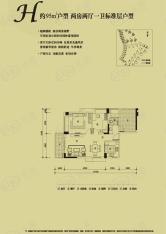 万科金域松湖2室2厅1卫户型图