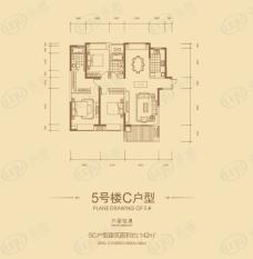 国贸天琴湾5号楼C户型户型图