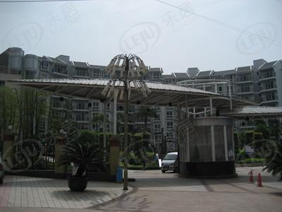 社区实景