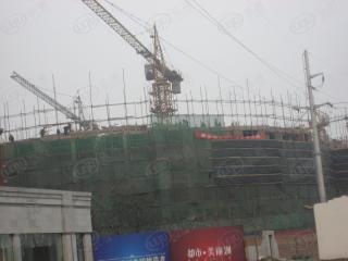 都市·美丽洲五期