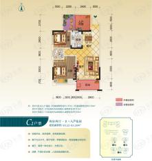 长龙湾2室2厅1位C1户型户型图