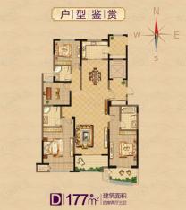 万泰国际广场檀香湾4号楼 D户型 177平米户型图