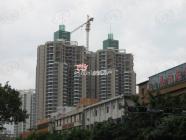 金岸大厦