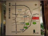 居易新青年