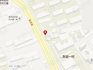 上海枫林Link