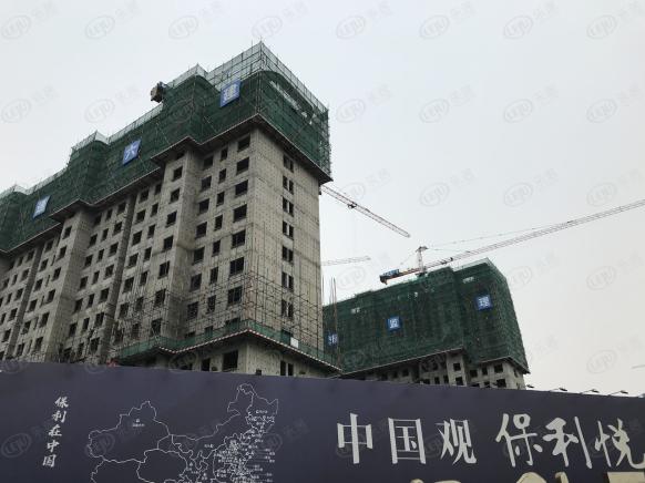 社区实景