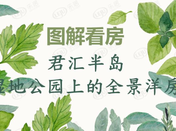 图解看房